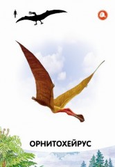 Динозавры. Развивающие карточки - Фото 3