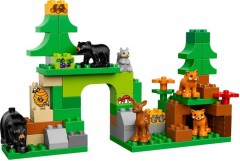 Лесной заповедник - Фото 2