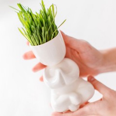 Набор для выращивания «Йог», белый - Фото 1