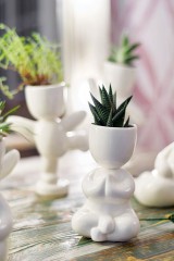 Набор для выращивания «Йог», белый - Фото 2