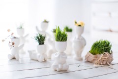 Набор для выращивания «Йог», белый - Фото 4