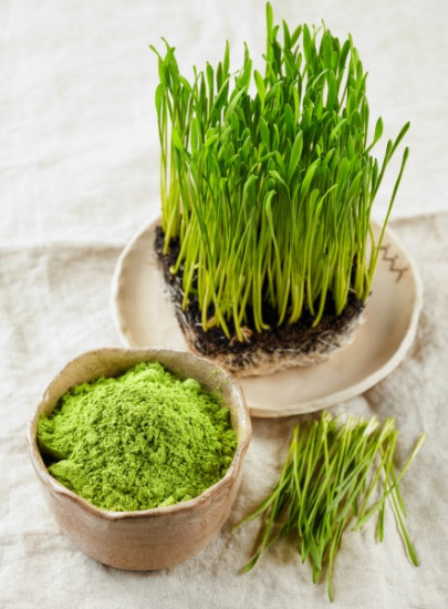 Порошок ростков ячменя