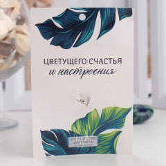 Брошь «Паук» - Фото 3