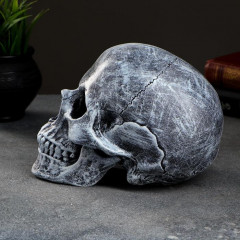 Копилка «Череп» - Фото 5