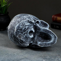 Копилка «Череп» - Фото 7