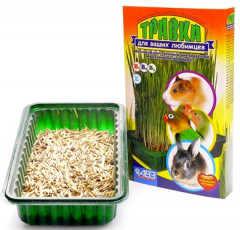 Травка для вашего любимца - Фото 1