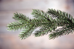 Ель искусственная «Литая» - Фото 1