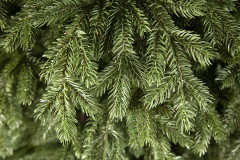 Ель искусственная «Литая» - Фото 3