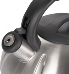 Чайник для плиты - Фото 1