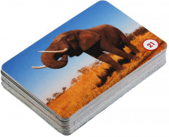 Игра настольная «Мемо. Удивительные животные» - Фото 4