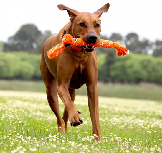 Игрушка веревочная шуршащая