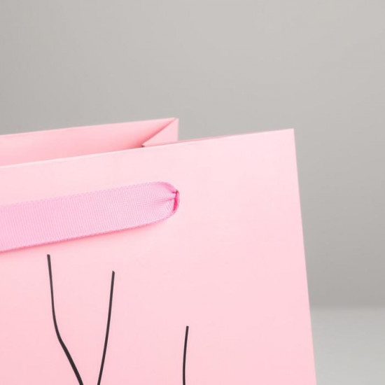 Пакет подарочный