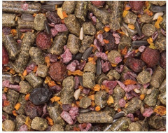 Корм для шиншилл «Classic» - Фото 1