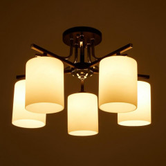 Люстра - Фото 2