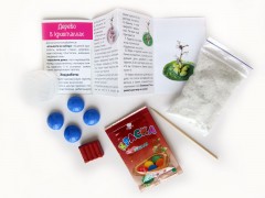 Набор для опытов «Дерево в кристаллах» - Фото 1