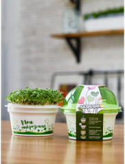 Набор для выращивания «Моя микрозелень. Базилик» - Фото 4