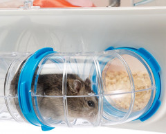Клетка для грызунов «Combi» - Фото 4