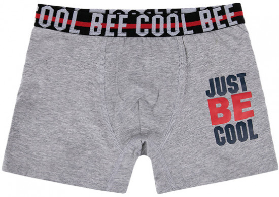 Комплект трусов для мальчиков