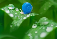 Рулетка «Snail», голубая - Фото 1