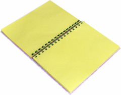 Блокнот «Кактус Кот» - Фото 1