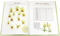 Маленькие заиньки. Твой первый год. Альбом для записей - Фото 2