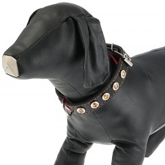 Ошейник однослойный украшенный (ширина 2 см) с выносным кольцом, цвета в ассортименте - Фото 1