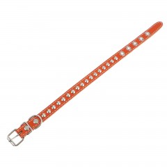 Ошейник с подкладом (ширина 1,7 см) клепаный, цвета в ассортименте - Фото 1