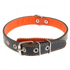 Ошейник с подкладом (ширина 2,5 см) с выносным кольцом, цвета в ассортименте - Фото 2