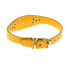 Ошейник-селедка со щенком - Фото 1