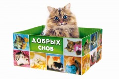 Домик-коробка с матрасом «Добрых снов», открытая - Фото 4