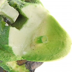 Распылитель «Лягушка», 10 х 8 х 7 см - Фото 2