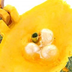 Распылитель «Раковина с жемчужинами», 10 х 9 х 7,5 см - Фото 2