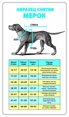 Свитер «Царь зверей», размер XL - Фото 1