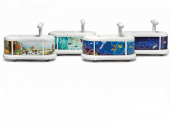 Каталка «Морское приключение» - Фото 7