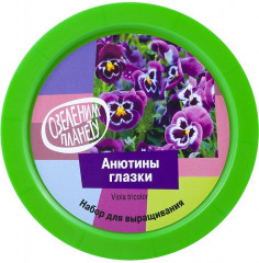 Набор для выращивания «Анютины глазки» - Фото 1