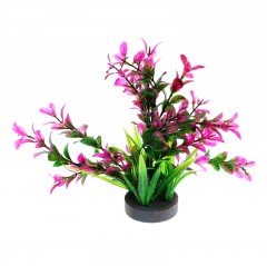 Растение с распылителем, 22 х 11 х 11 см - Фото 2