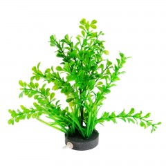 Растение с распылителем, 20 х 14 х 14 см - Фото 2