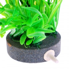 Растение с распылителем, 20 х 14 х 14 см - Фото 1