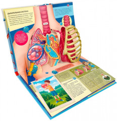 Pop-up энциклопедия для детей о теле человека «Анатаомия» (книжка-панорамка) - Фото 2