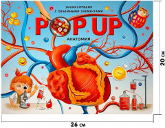 Pop-up энциклопедия для детей о теле человека «Анатаомия» (книжка-панорамка) - Фото 3