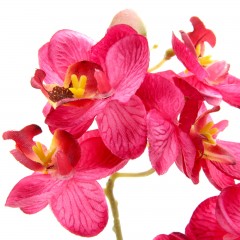 Композиция в горшке «Розовая орхидея Фаленопсис» - Фото 1