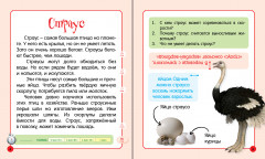 Загадочная Африка - Фото 2