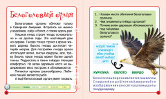 Завораживающая Северная Америка - Фото 1