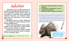 Завораживающая Северная Америка - Фото 2