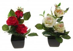 Композиция в горшке «Пышные розы», цвет в ассортименте - Фото 1