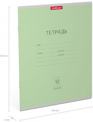 Тетрадь школьная «Классика», 12 листов, линейка, зеленый - Фото 2