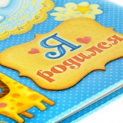 Фотоальбом «Я родился» 20 магнитных листов - Фото 1