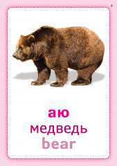 Жануарлар әлемі. Мир животных. Animal kingdom. Плакаттар топтамасы - Фото 1