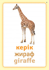 Жануарлар әлемі. Мир животных. Animal kingdom. Плакаттар топтамасы - Фото 2