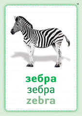 Жануарлар әлемі. Мир животных. Animal kingdom. Плакаттар топтамасы - Фото 3